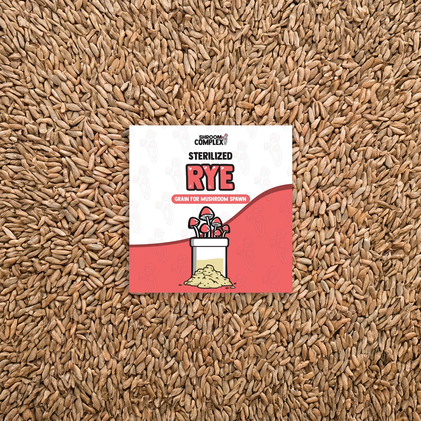 Rye
