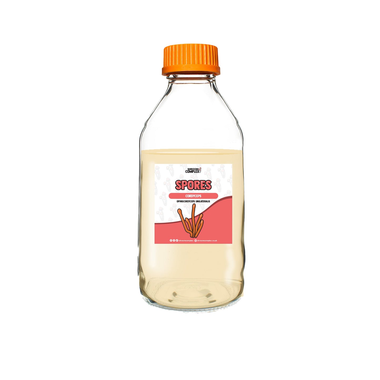 Cordyceps Tarro de 550 ml